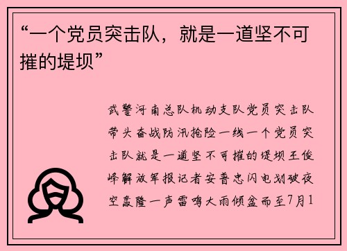 “一个党员突击队，就是一道坚不可摧的堤坝”