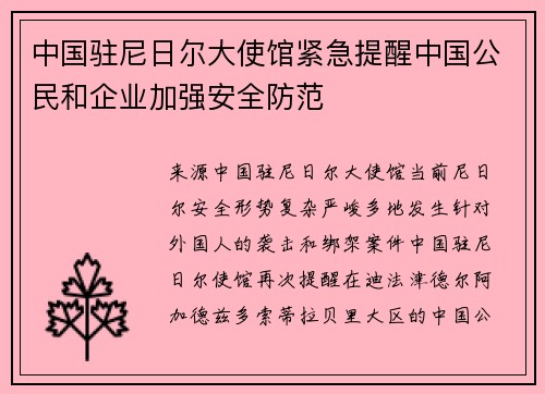 中国驻尼日尔大使馆紧急提醒中国公民和企业加强安全防范