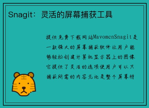 Snagit：灵活的屏幕捕获工具