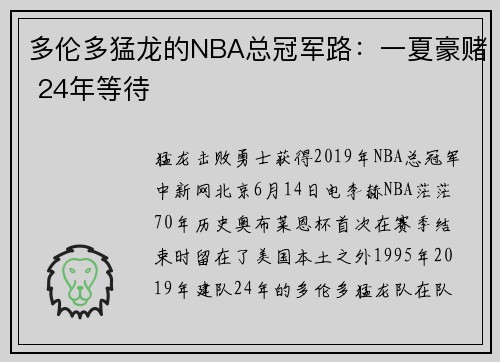 多伦多猛龙的NBA总冠军路：一夏豪赌 24年等待